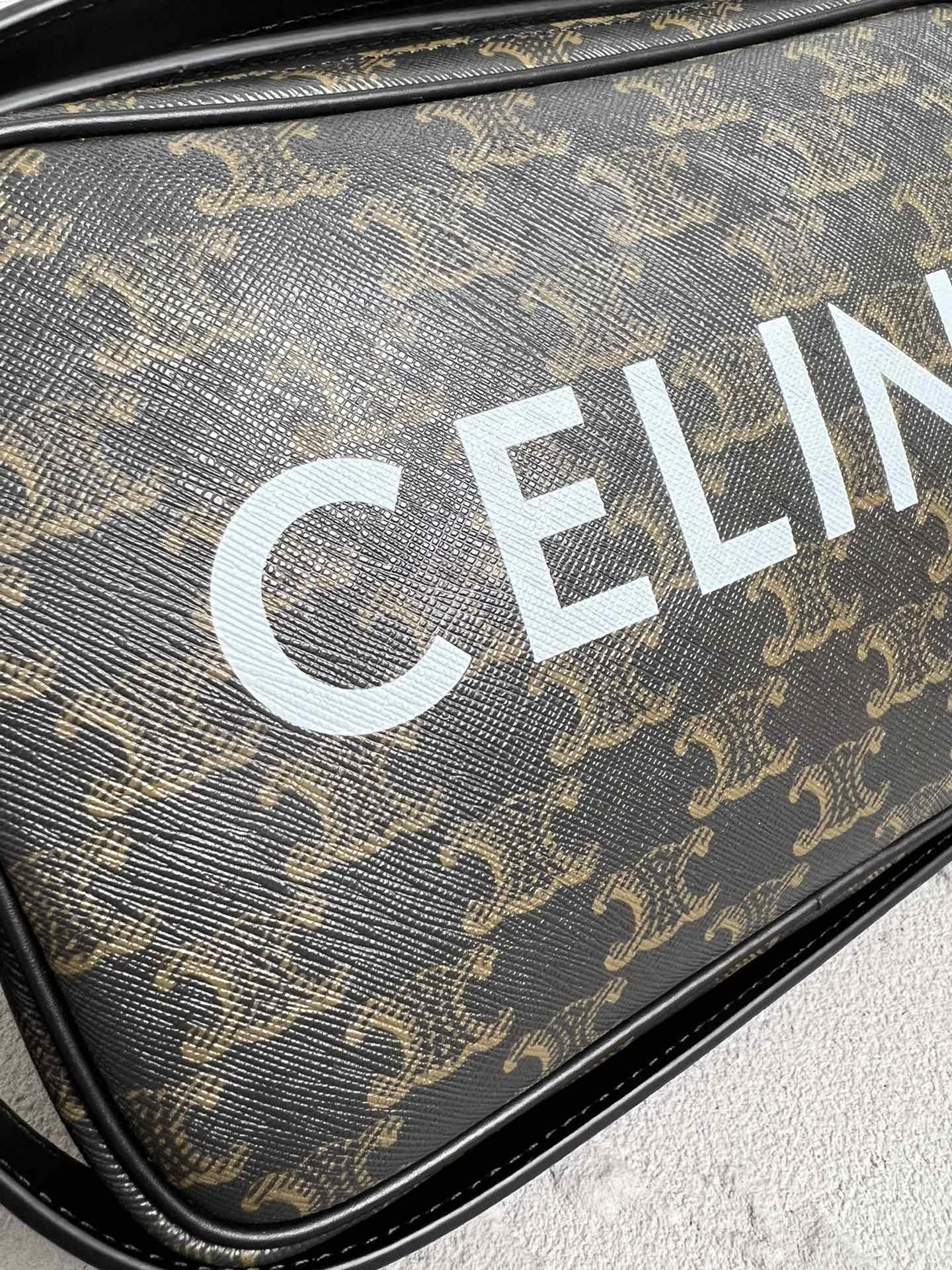 Celine Triomphe Bags EyeCatching 78417