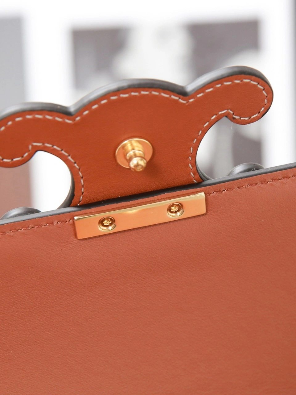 WaterResistant Celine Triomphe Bags 78414