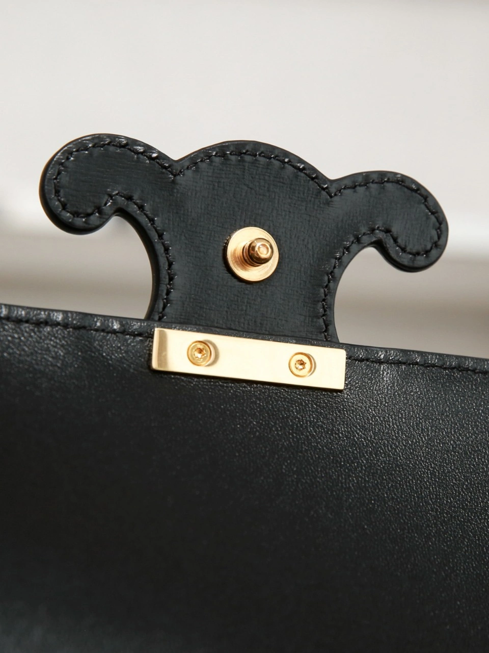 StreetReady Celine Triomphe Bags 78413