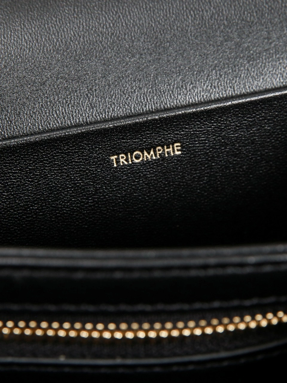 StreetReady Celine Triomphe Bags 78413