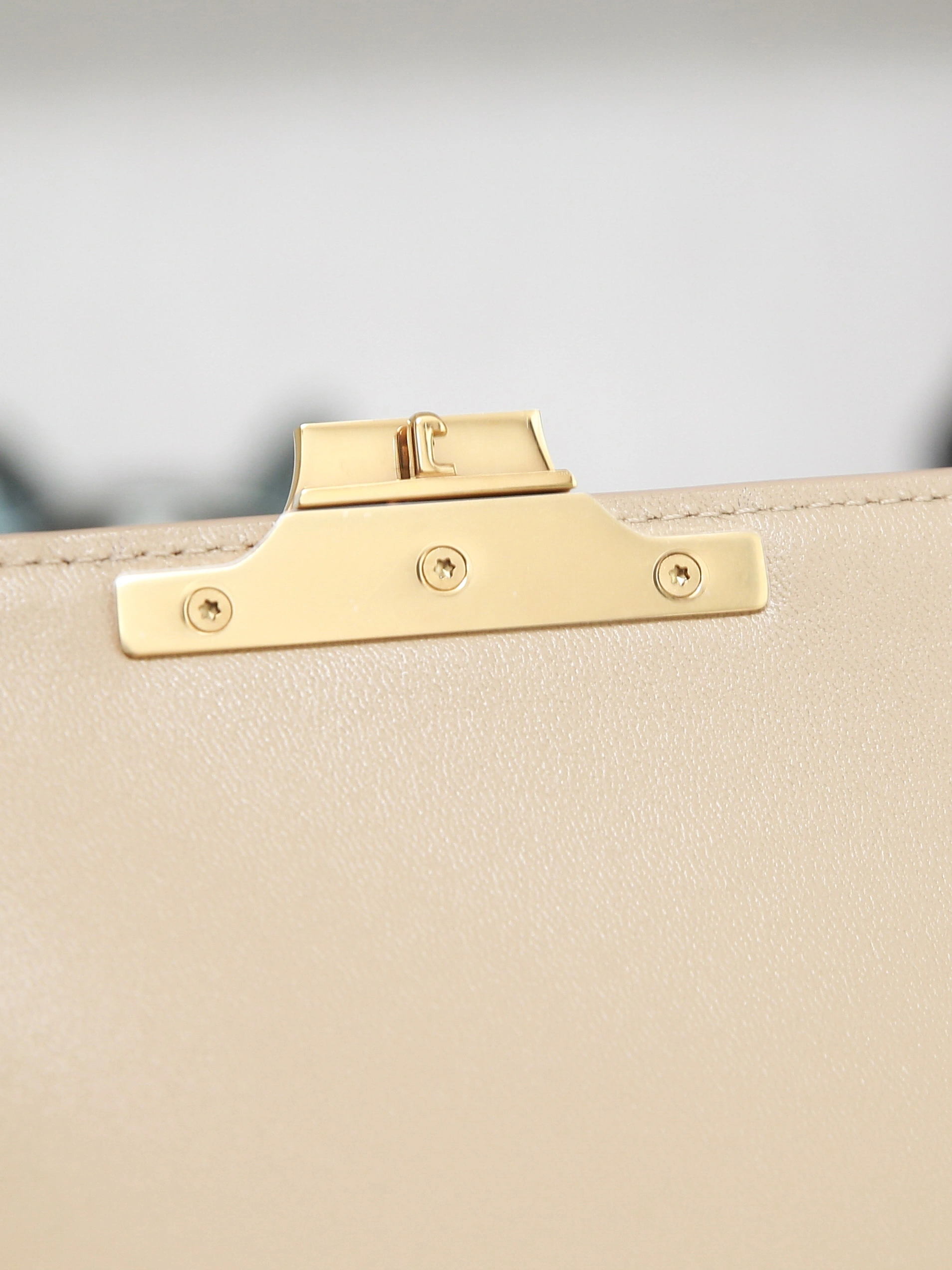 Resilient Celine Triomphe Bags 78409