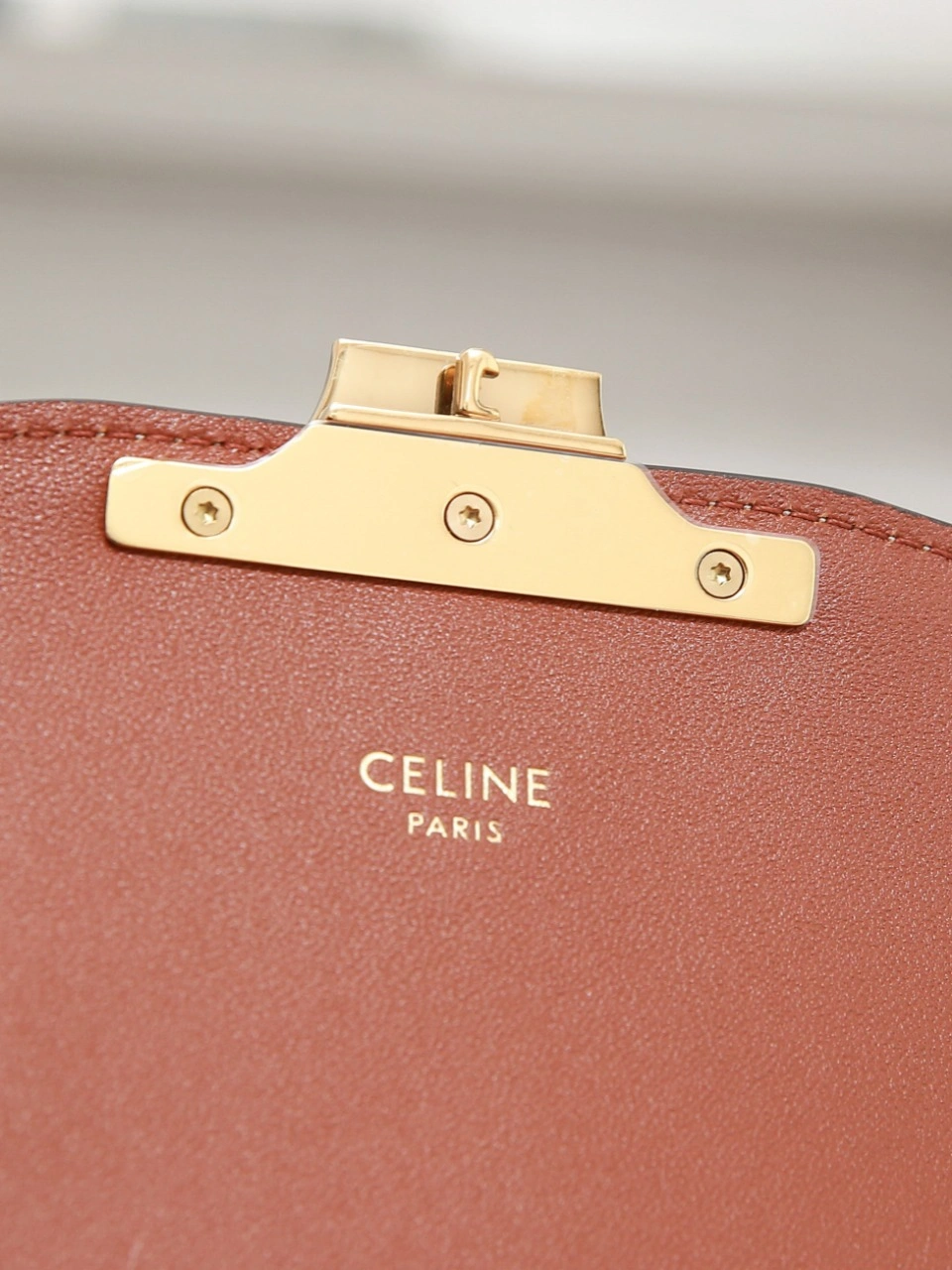 WaterResistant Celine Triomphe Bags 78408