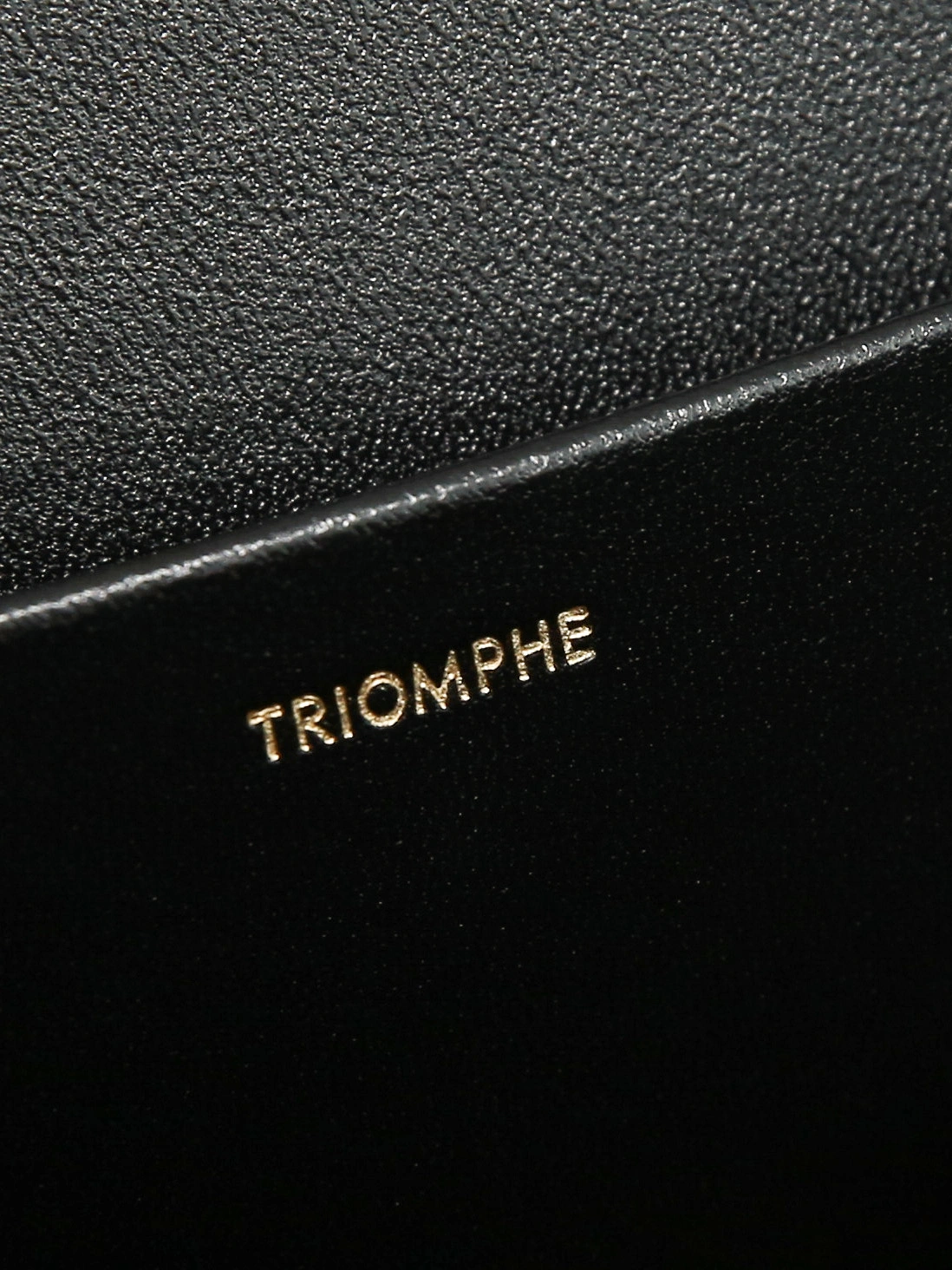 Celine Triomphe Bags Affordable 78390