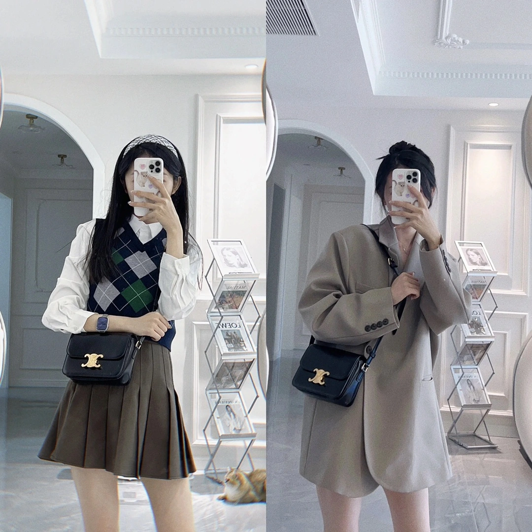 Celine Triomphe Bags Affordable 78390