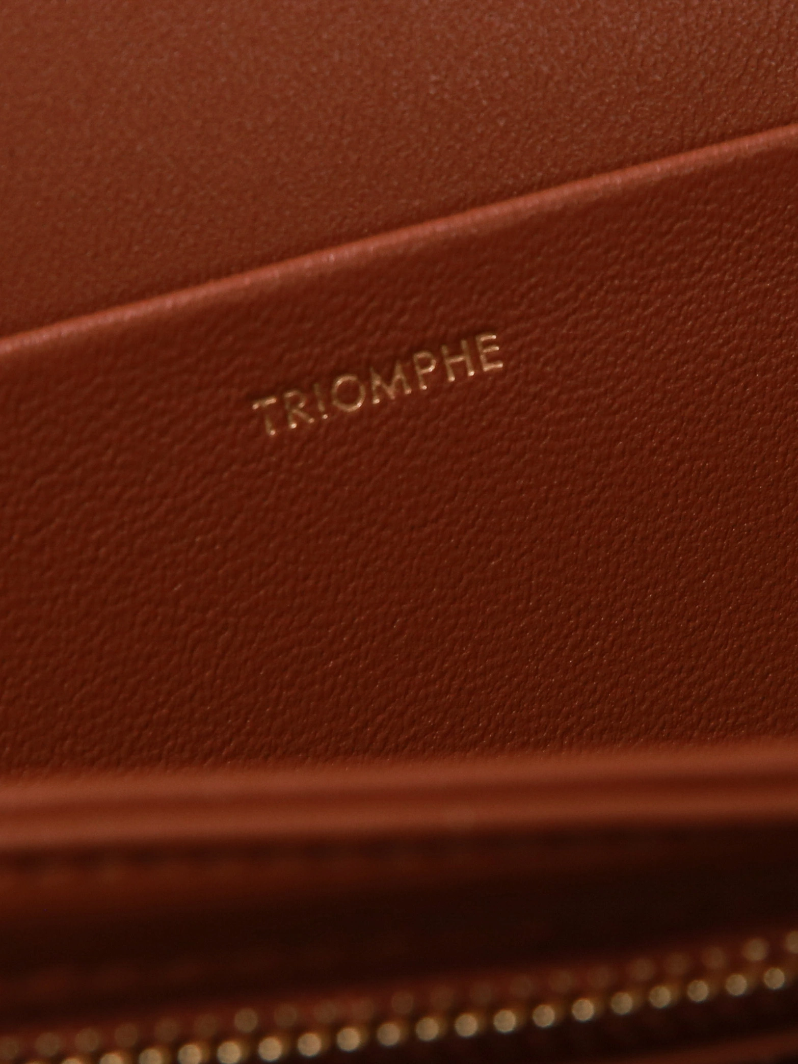 NewStyle Celine Triomphe Bags 78385