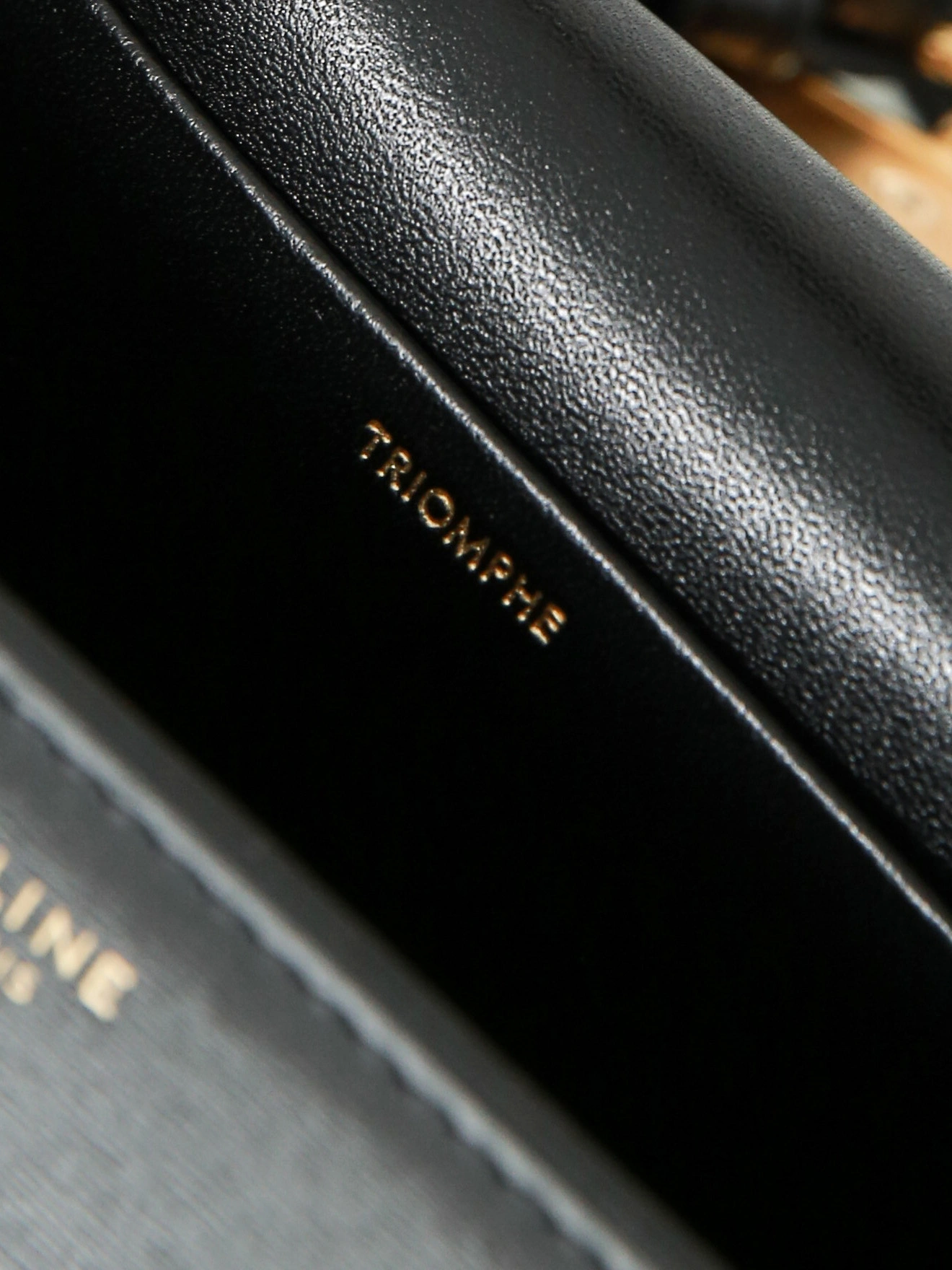 Celine Triomphe Bags ModernLook 78407