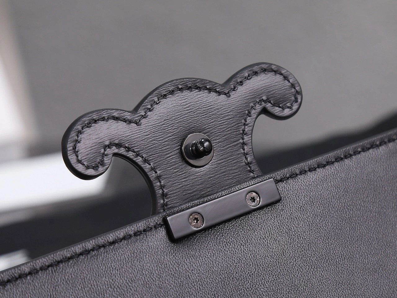 TimelessDesign Celine Triomphe Bags 78398