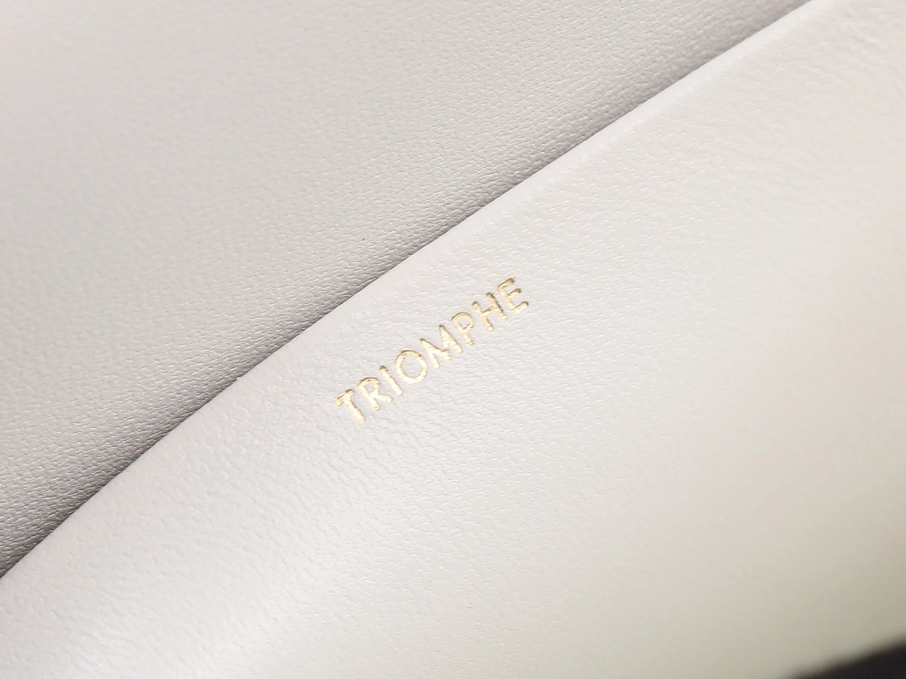 Efficient Celine Triomphe Bags 78401