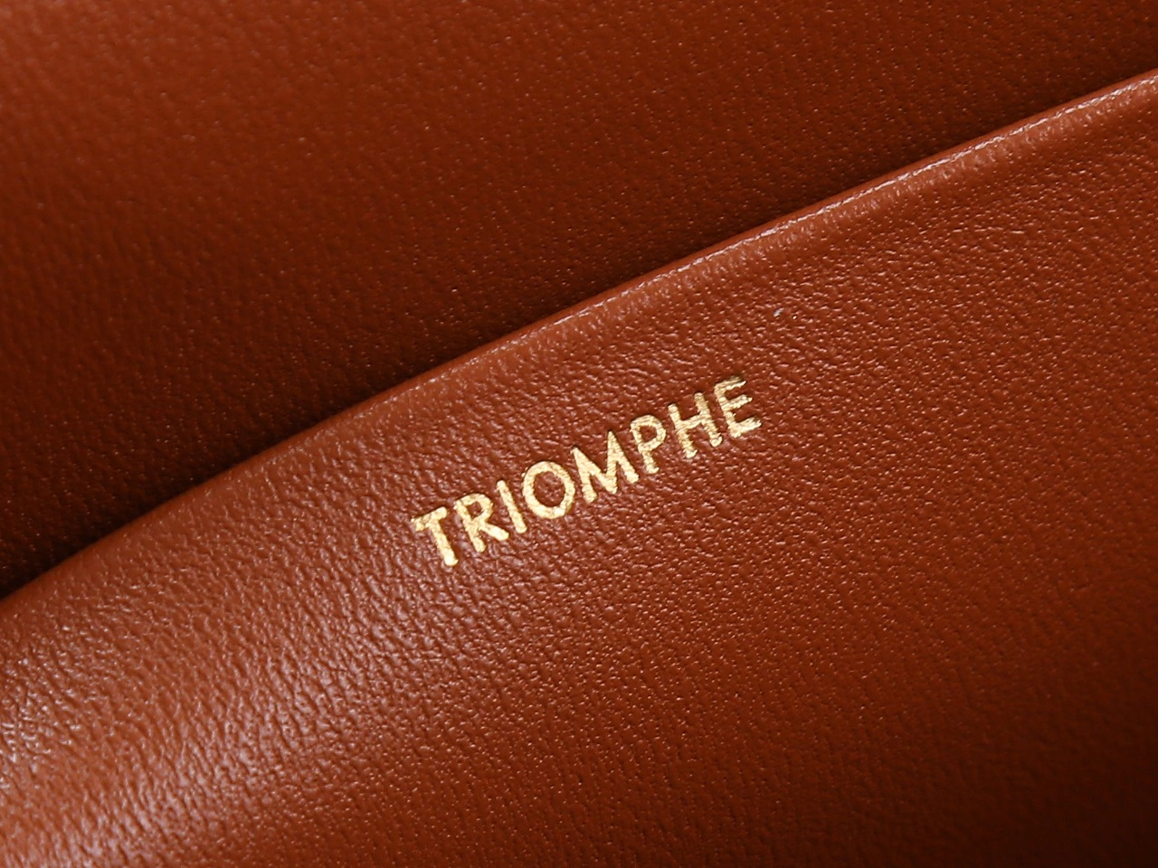 Celine Triomphe Bags Tailored 78396