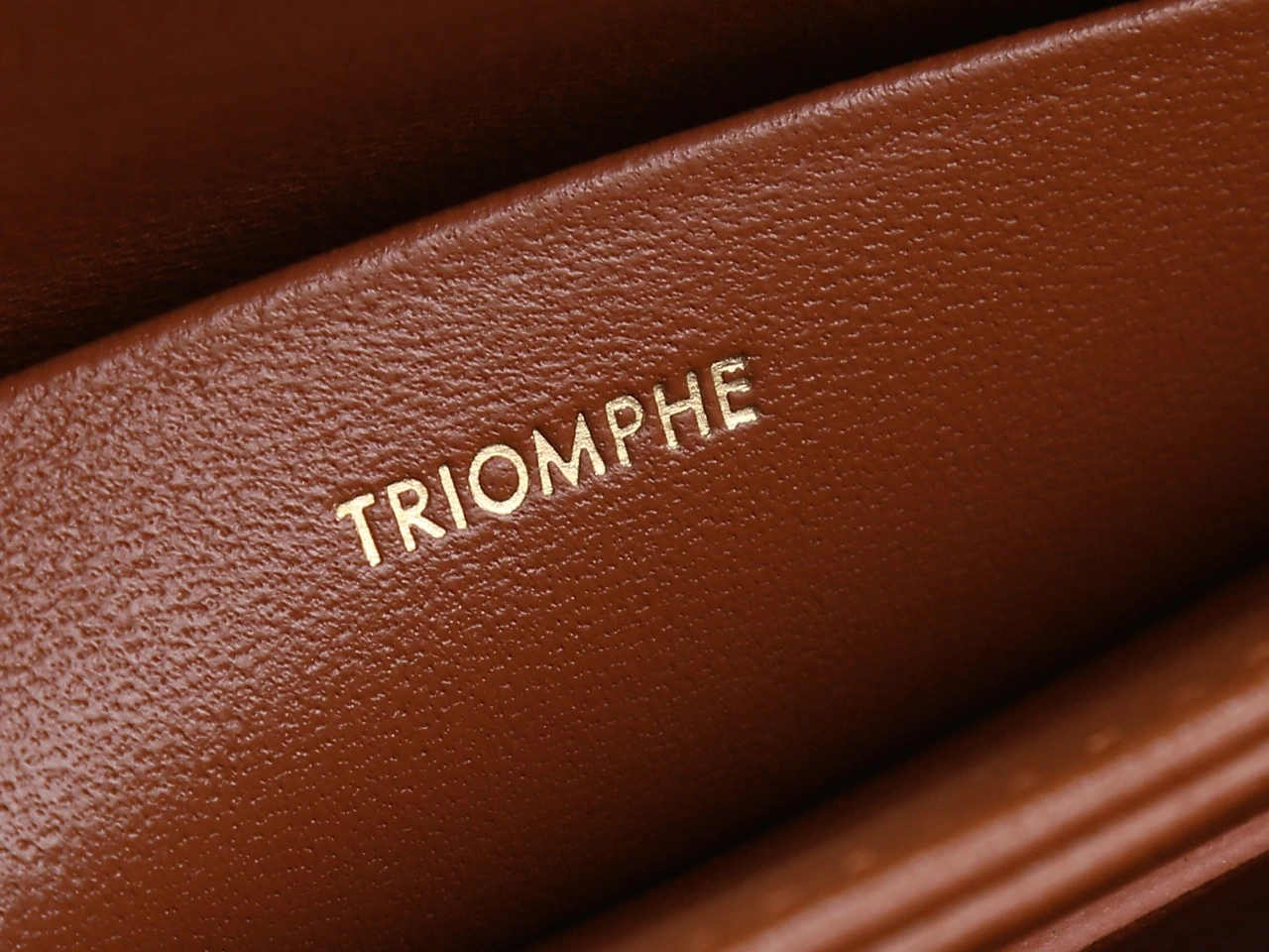 AllSeason Celine Triomphe Bags 78384