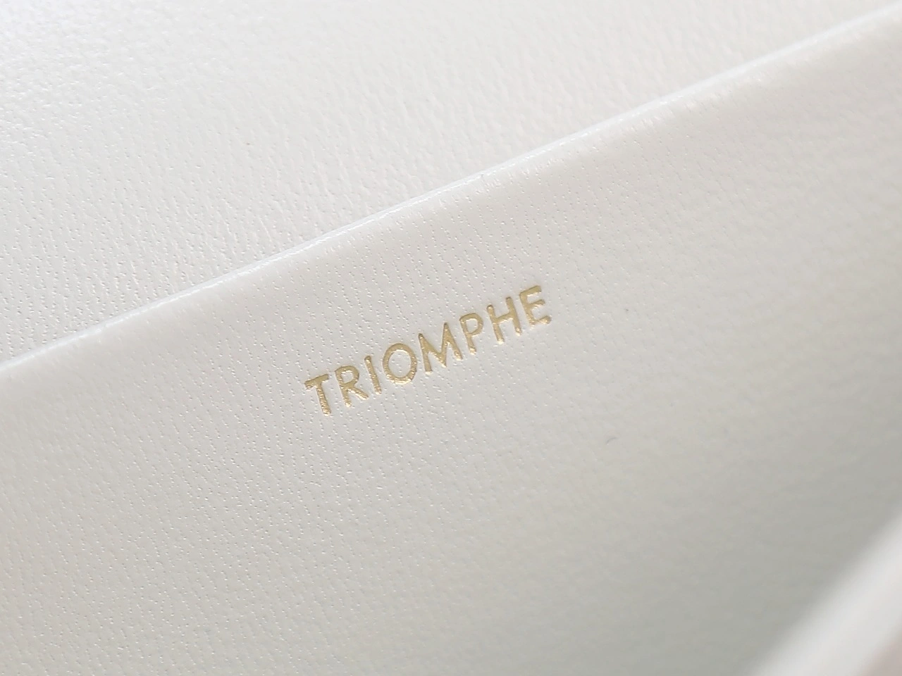 Bold Celine Triomphe Bags 78394