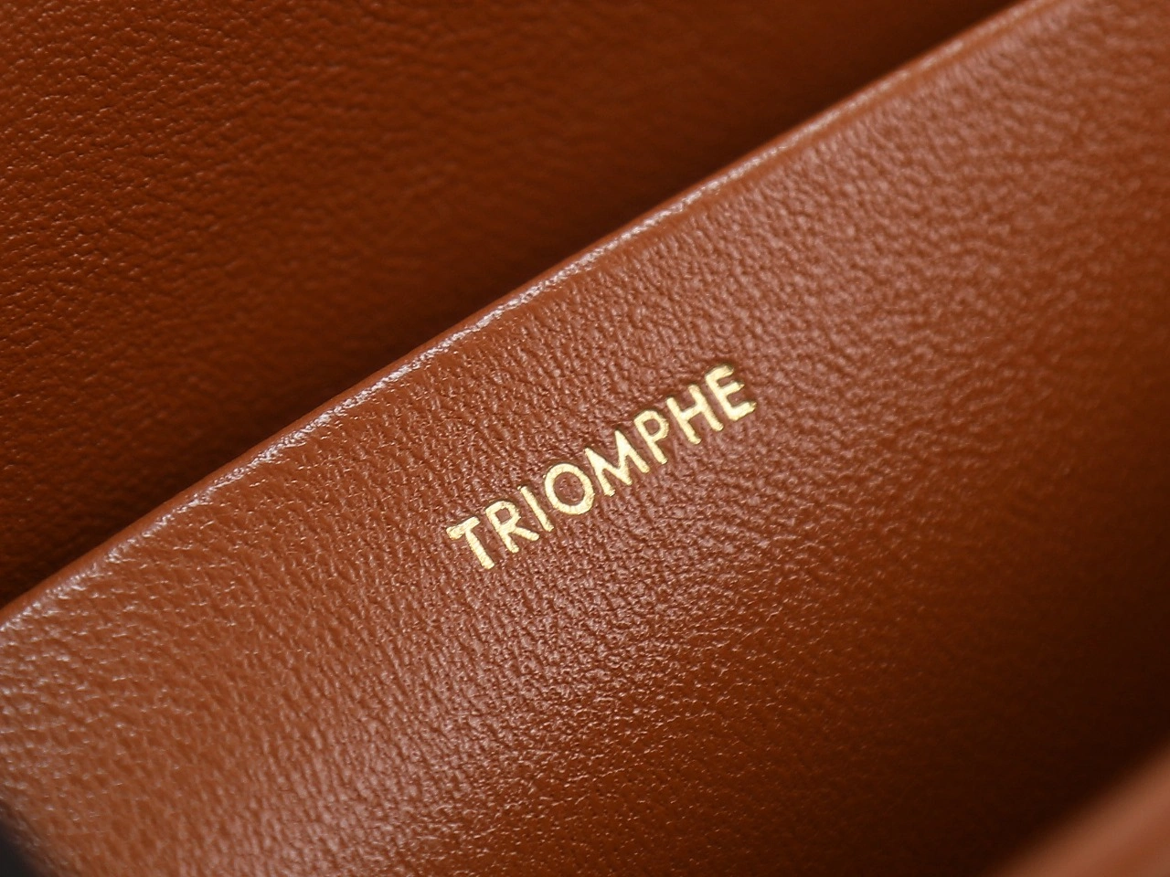 Celine Triomphe Bags EasyMatch 78386