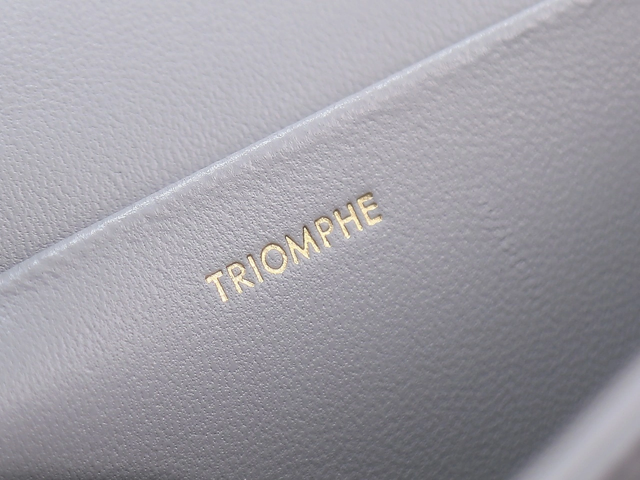 Stylish Celine Triomphe Bags 78405