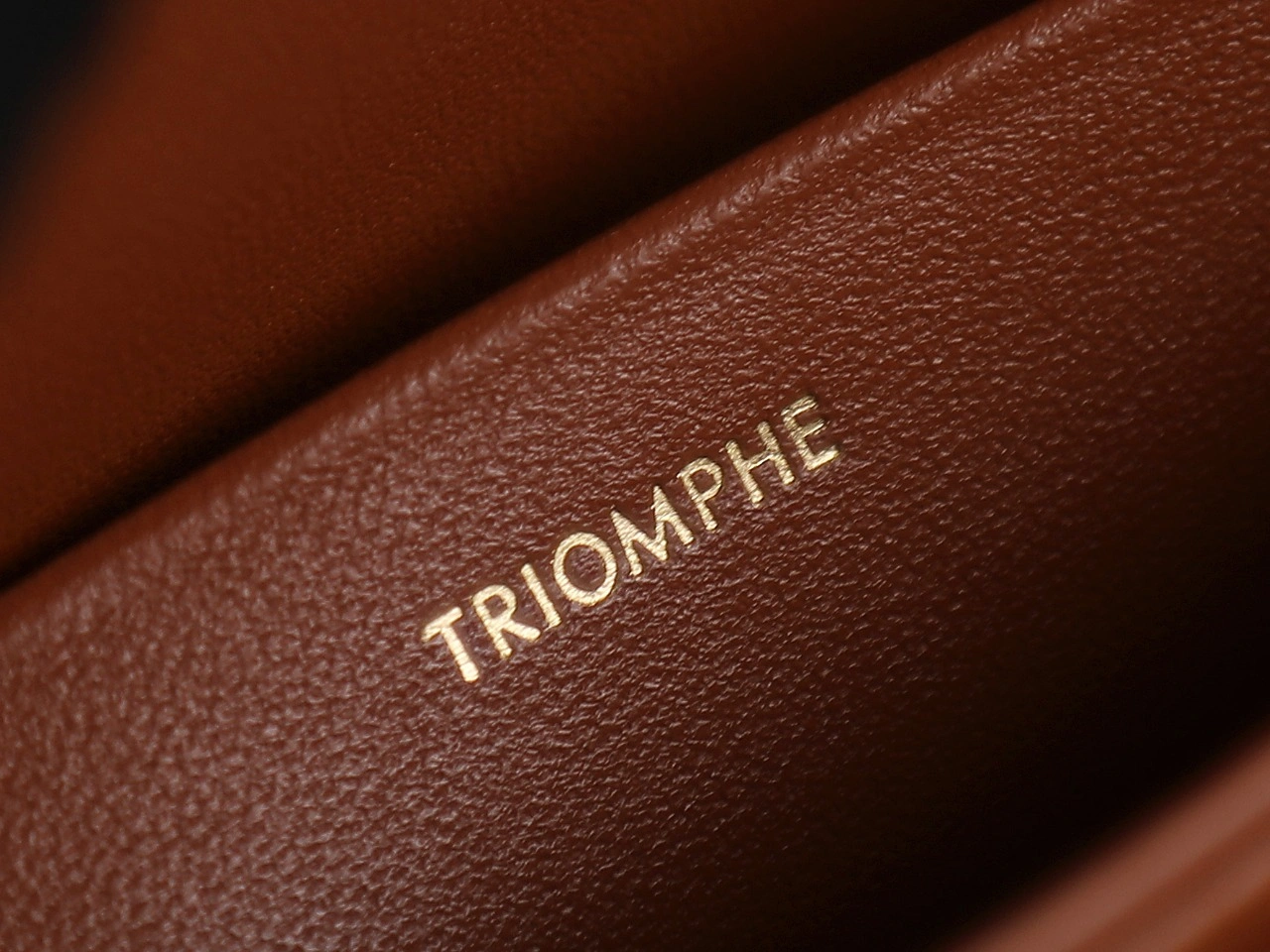 Celine Triomphe Bags Flexible 78403
