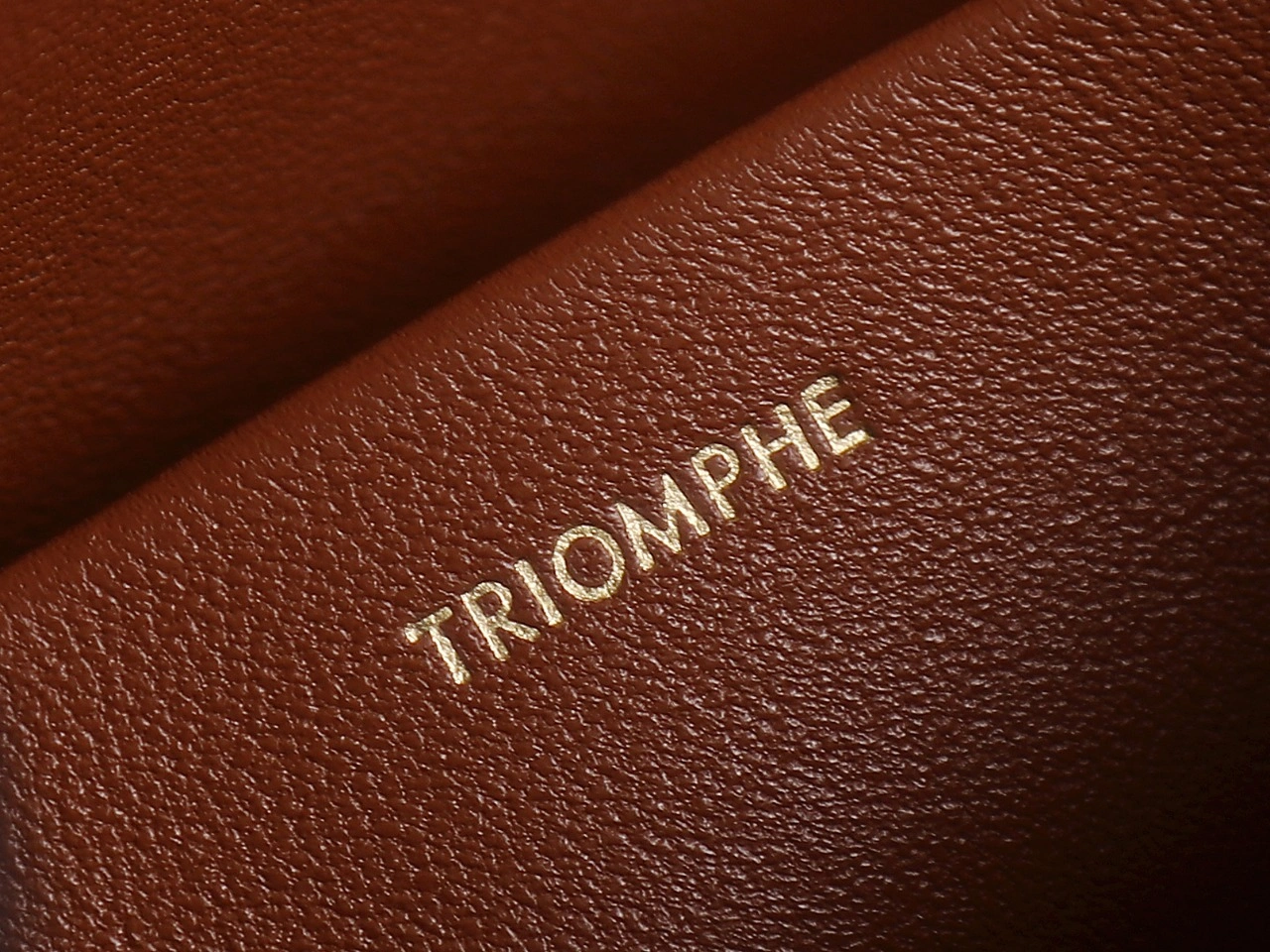 Bold Celine Triomphe Bags 78397