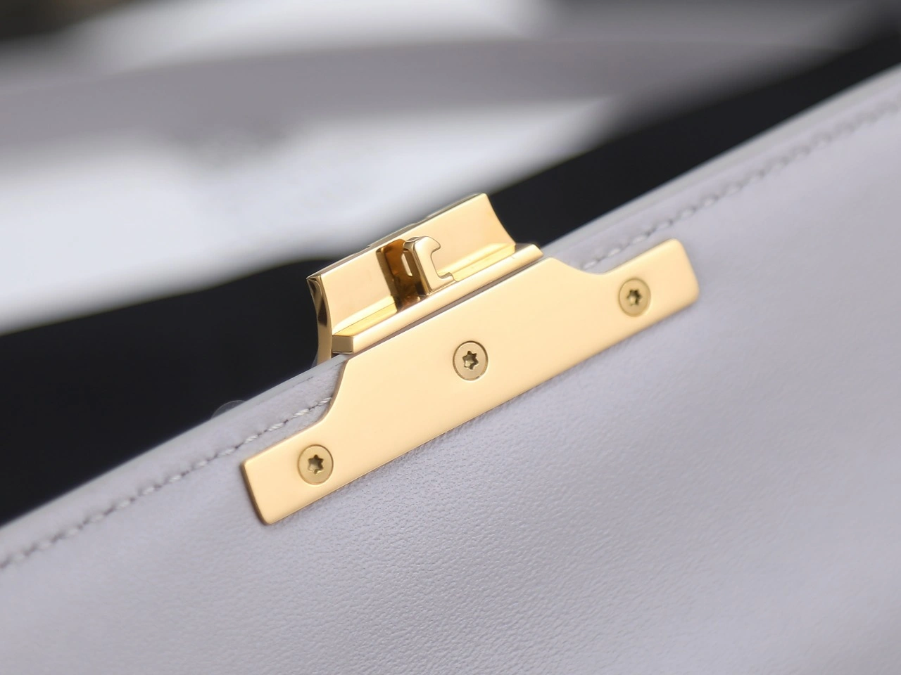Celine Triomphe Bags Stretchable 78393