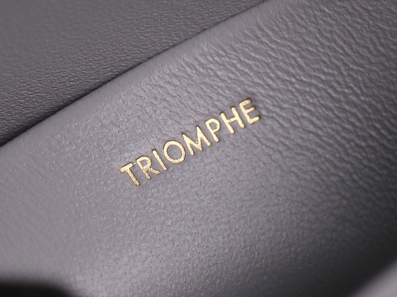 Celine Triomphe Bags Stretchable 78393