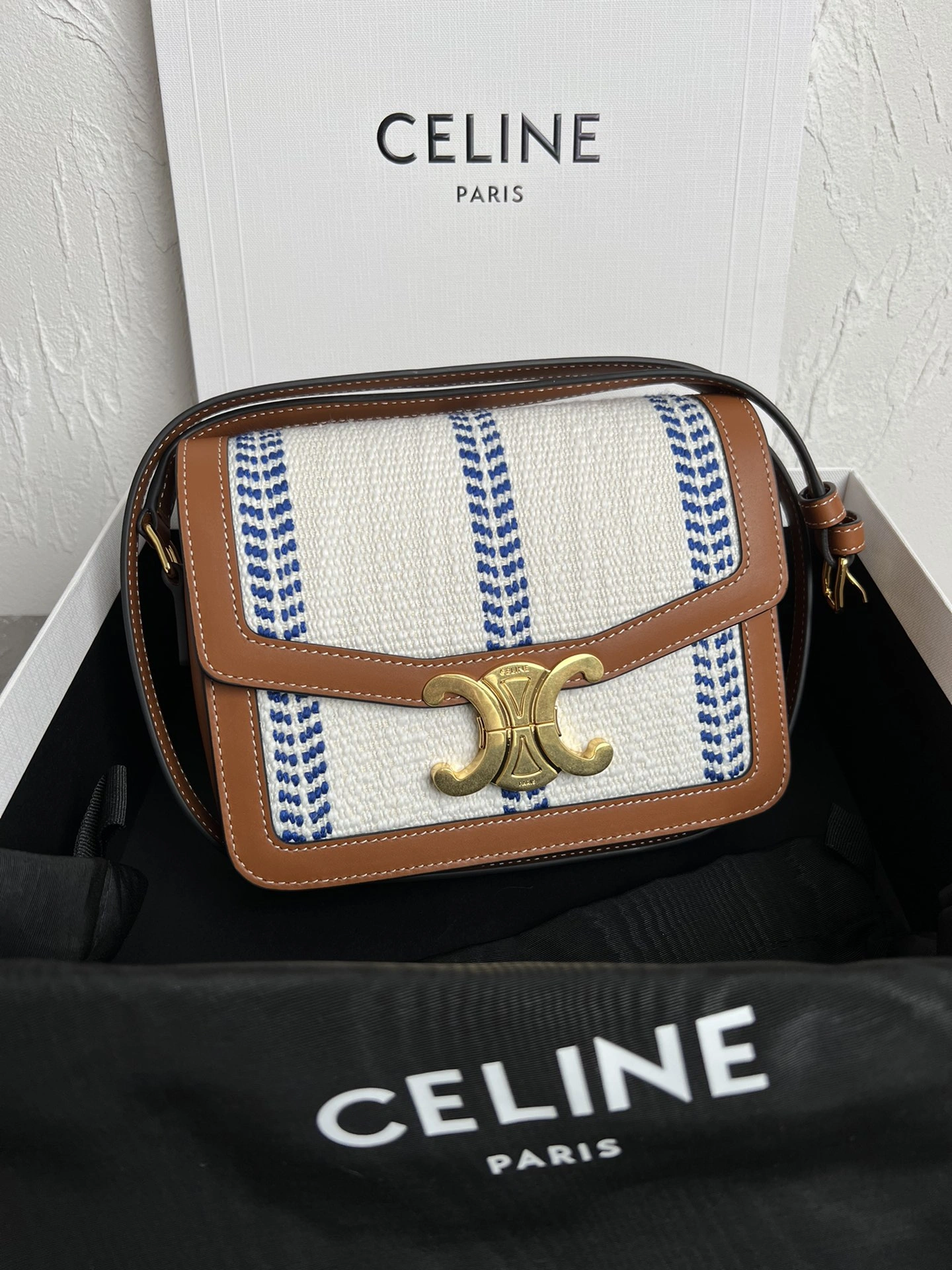 Seasonal Celine Triomphe Bags 78377