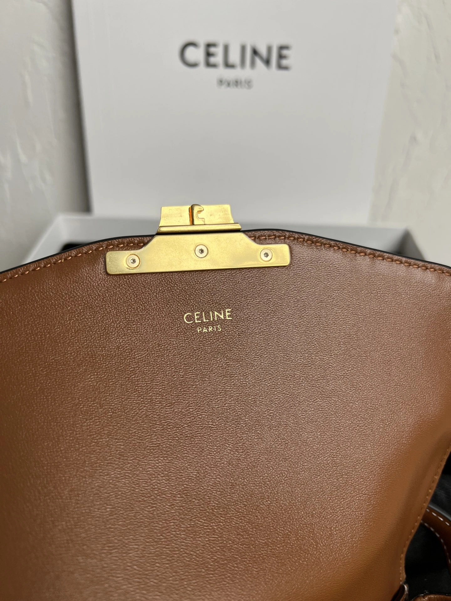 Seasonal Celine Triomphe Bags 78377