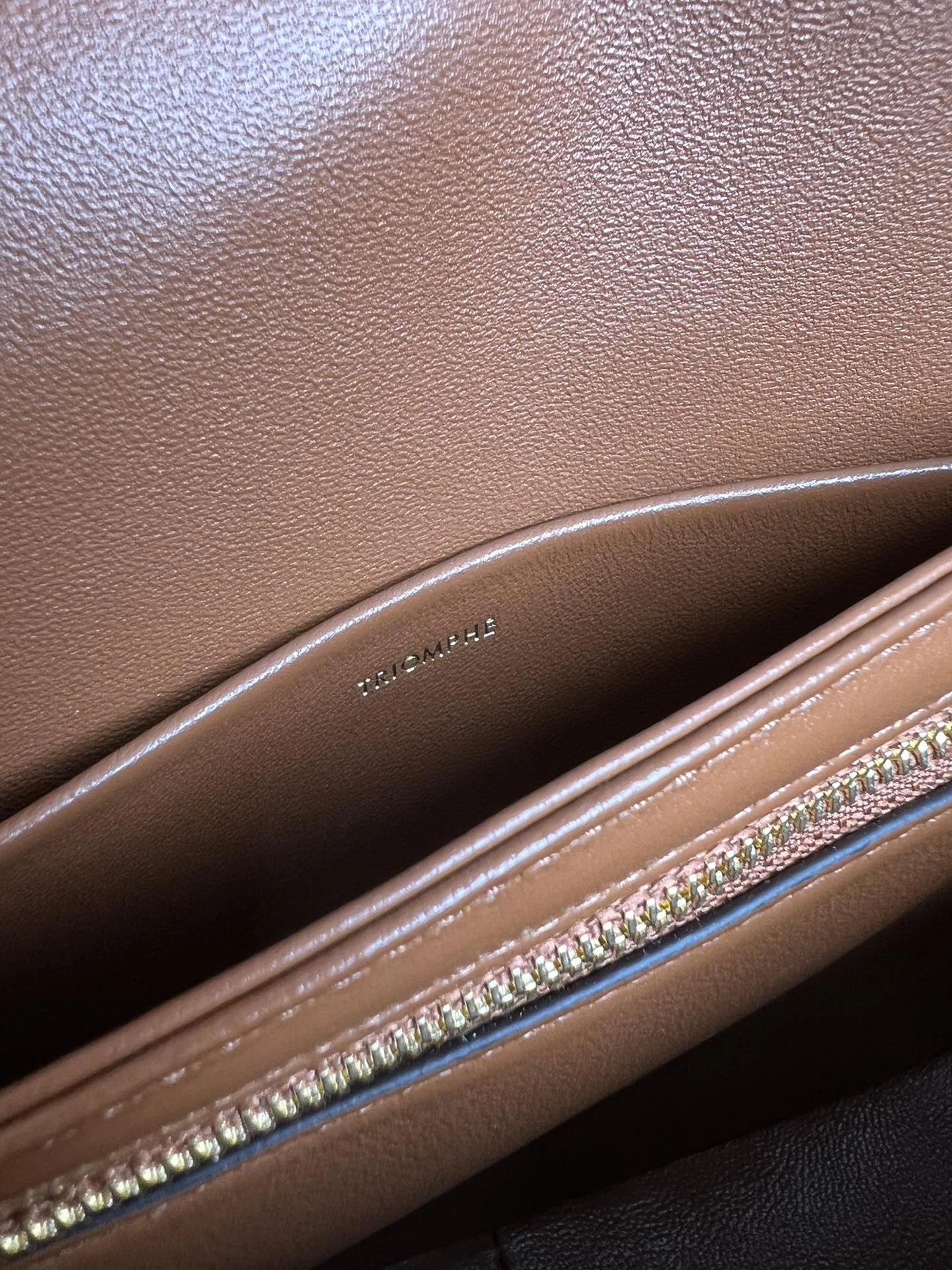 Seasonal Celine Triomphe Bags 78377