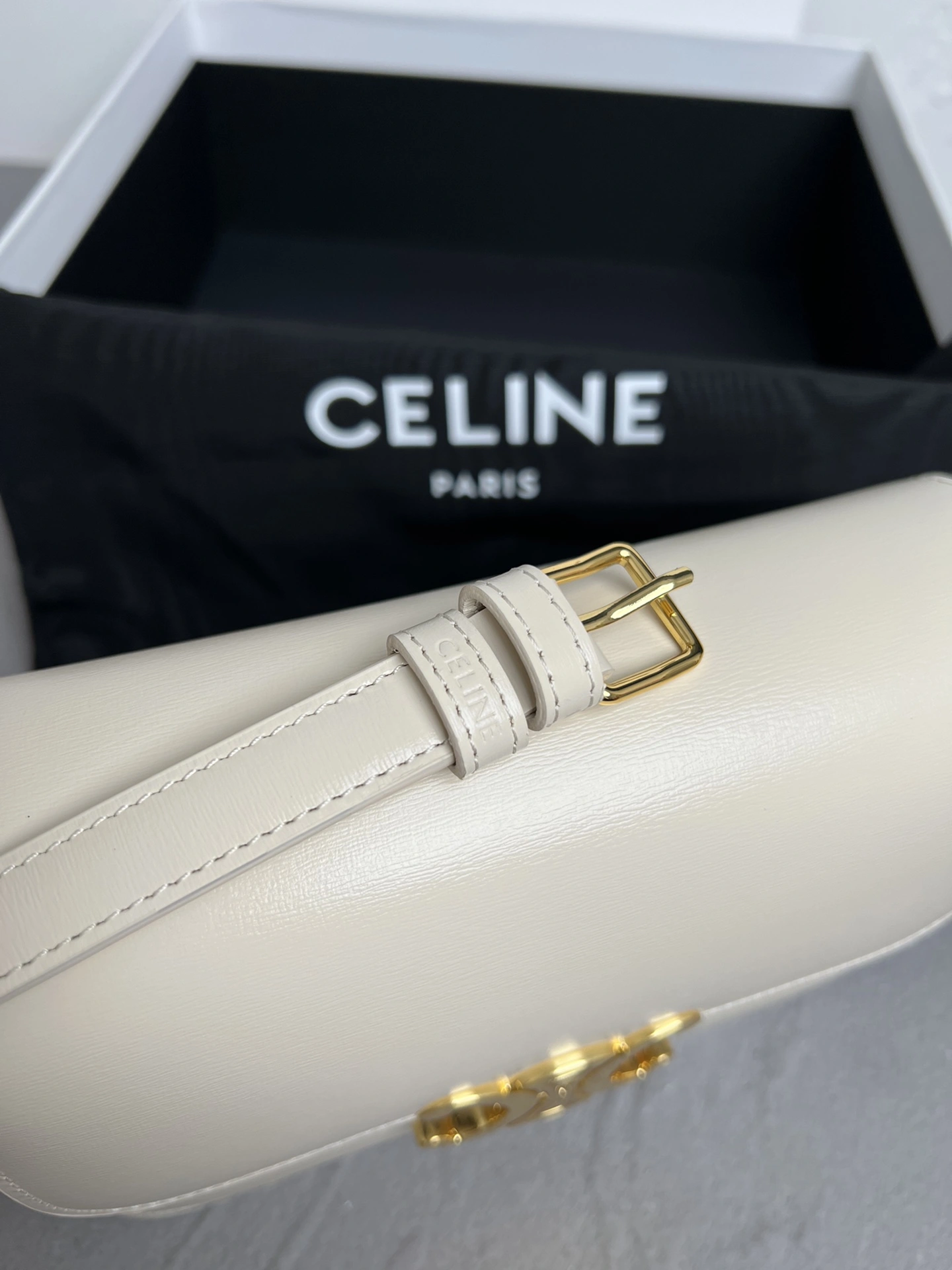 Celine Triomphe Bags WellDesigned 78373