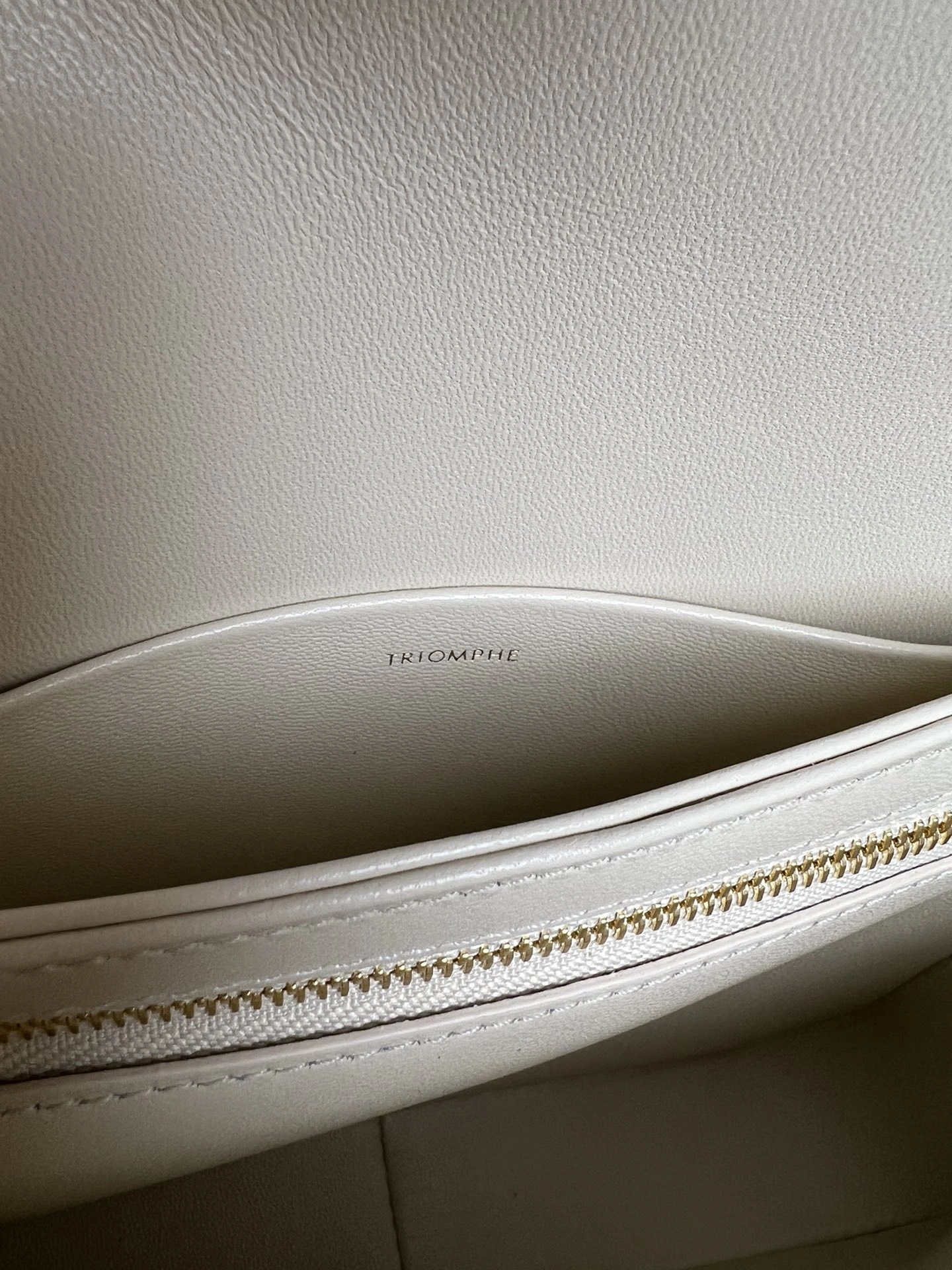 Celine Triomphe Bags WellDesigned 78373