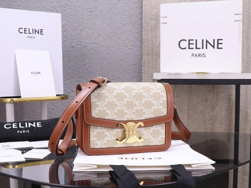 Celine Triomphe Bags Bold 94741