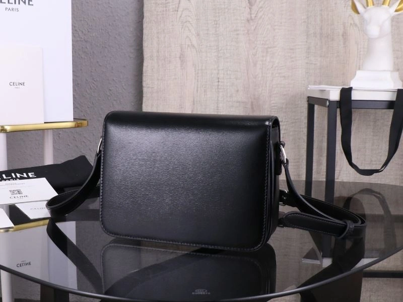 Celine Triomphe Bags Elegant 94739