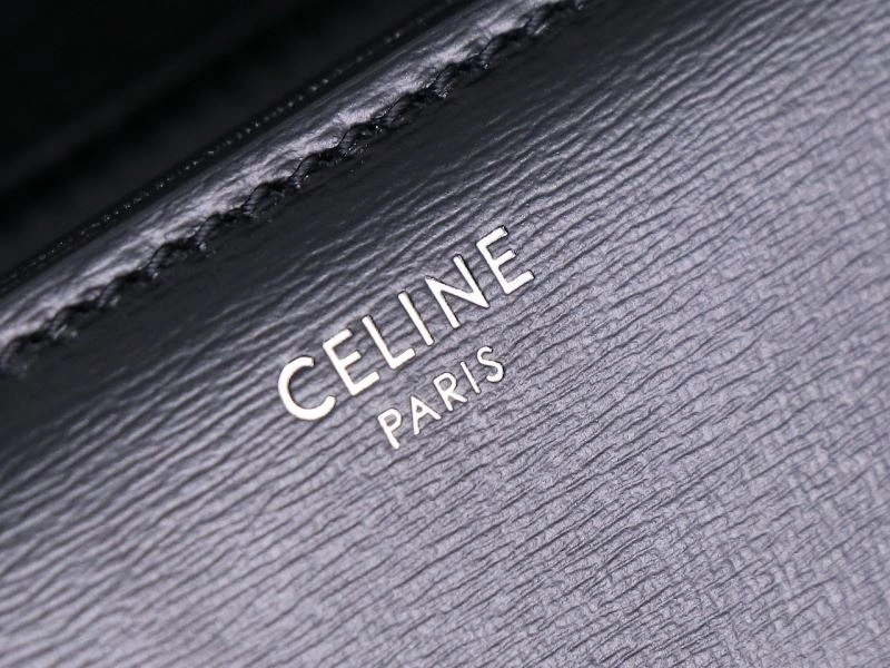 Celine Triomphe Bags Elegant 94739