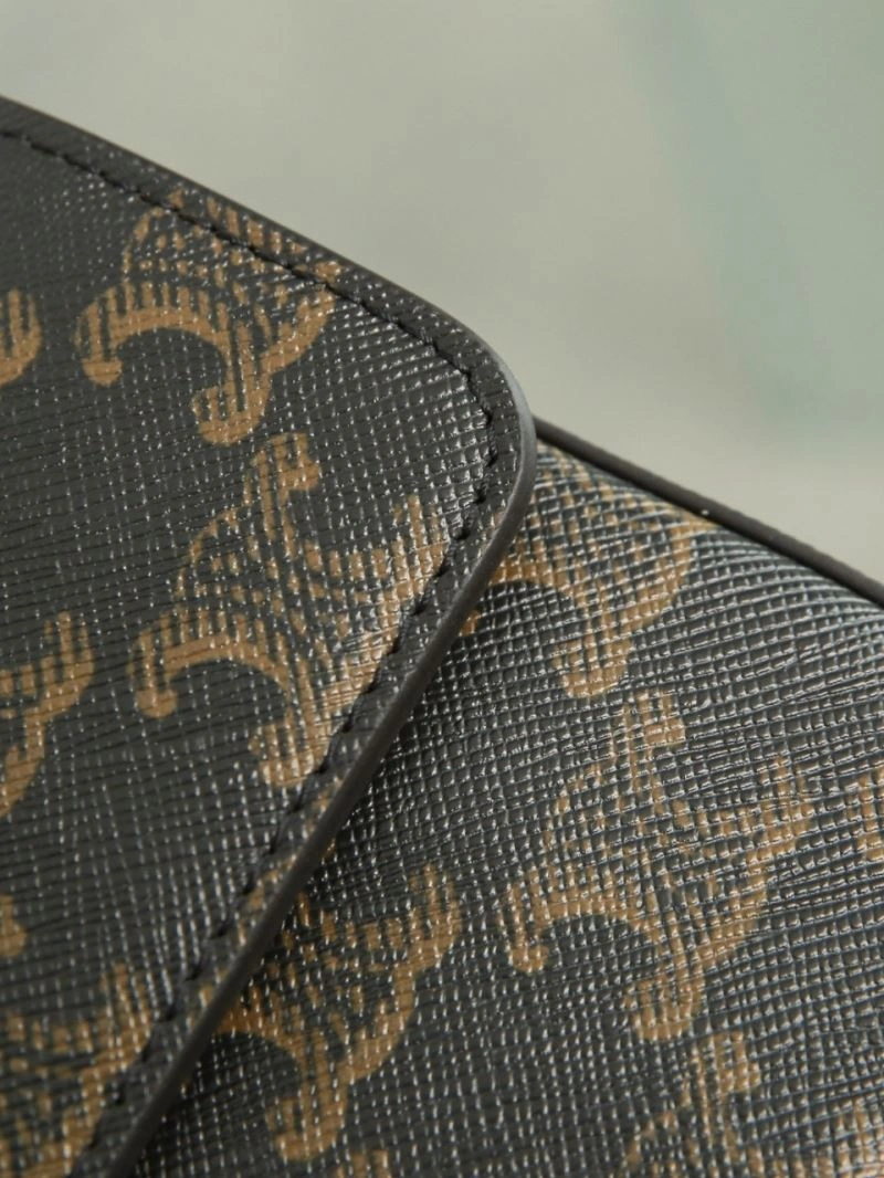 FastDry Celine Triomphe Bags 94731
