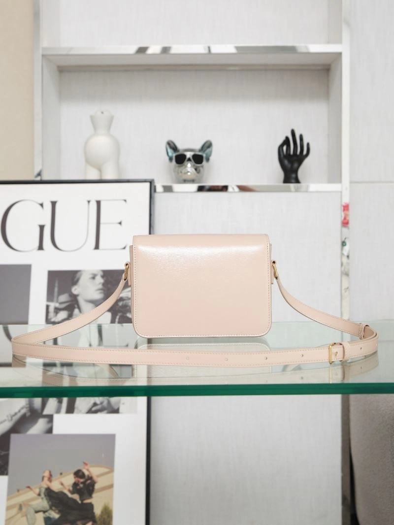 EyeCatching Celine Triomphe Bags 94732