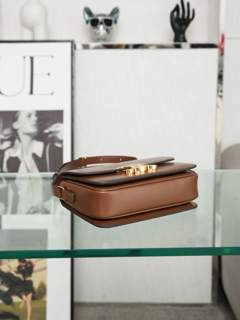Contemporary Celine Triomphe Bags 94737