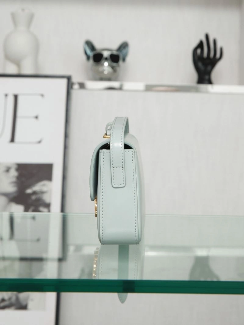 OdorResistant Celine Triomphe Bags 94726