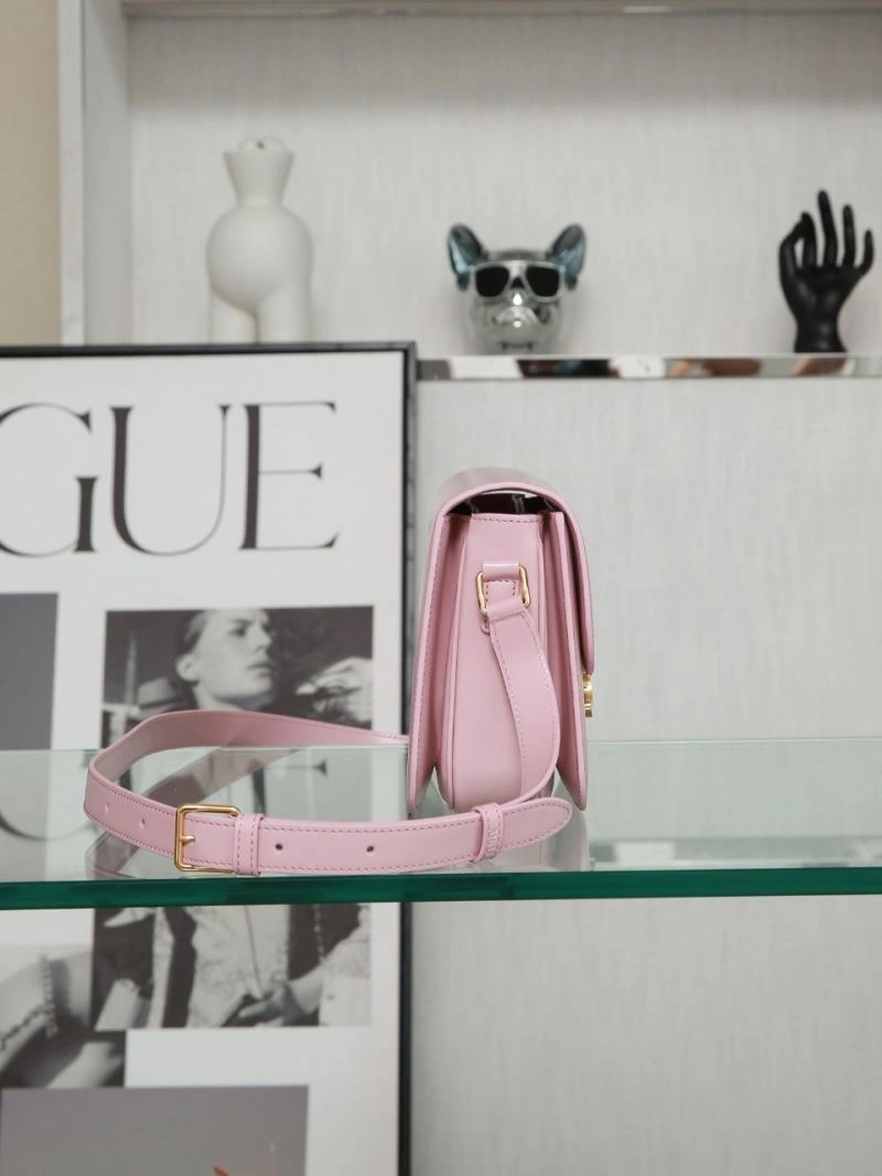 Celine Triomphe Bags TechFriendly 94729