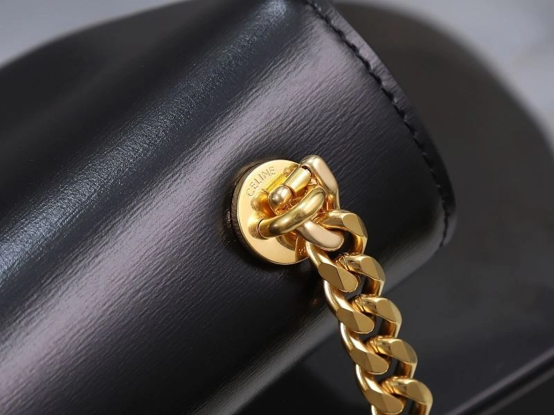 TravelReady Celine Triomphe Bags 94723
