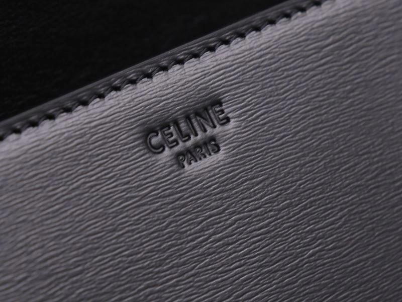 FastDry Celine Triomphe Bags 94721