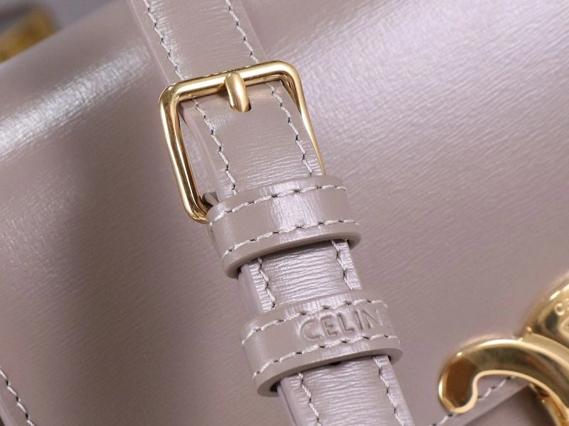 Sophisticated Celine Triomphe Bags 94694