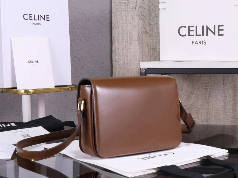 Celine Triomphe Bags TopPick 94698