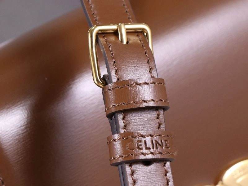 Celine Triomphe Bags TopPick 94698