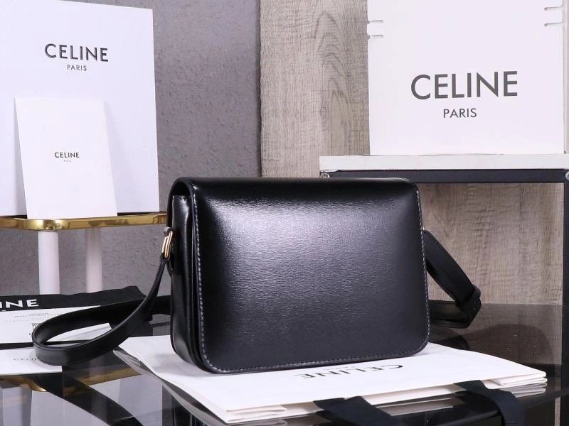 Celine Triomphe Bags Versatile 94773