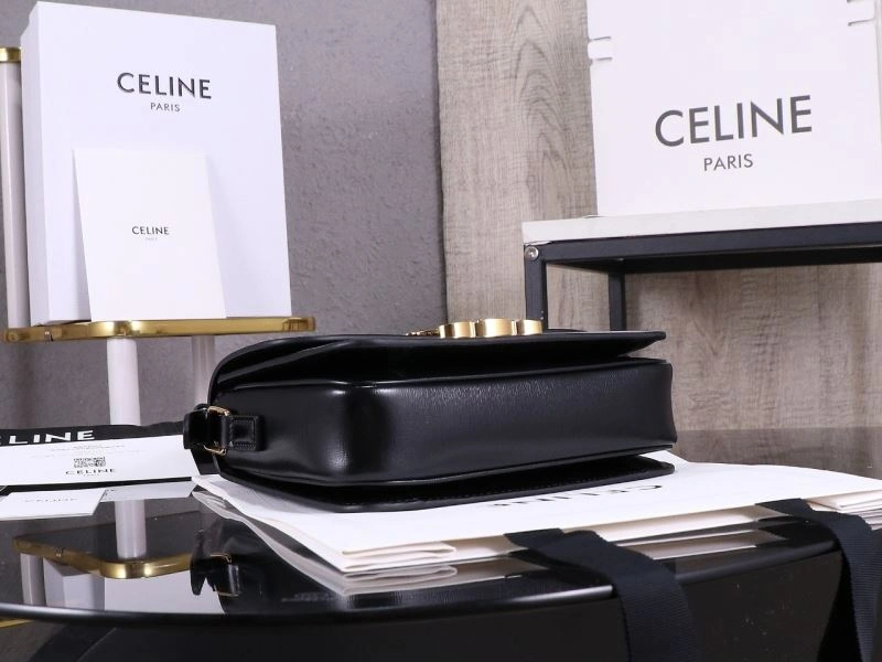 Celine Triomphe Bags Versatile 94773