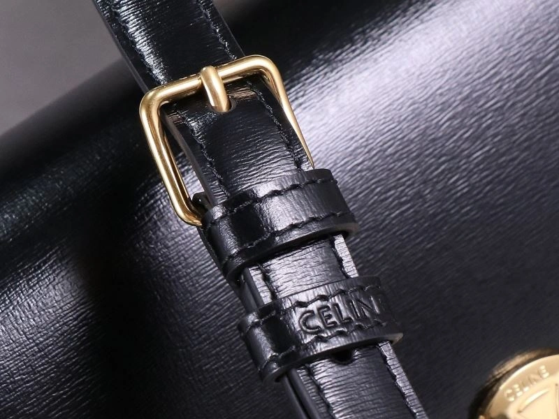 Celine Triomphe Bags Versatile 94773