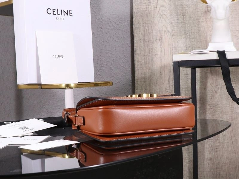 Celine Triomphe Bags Resilient 94693