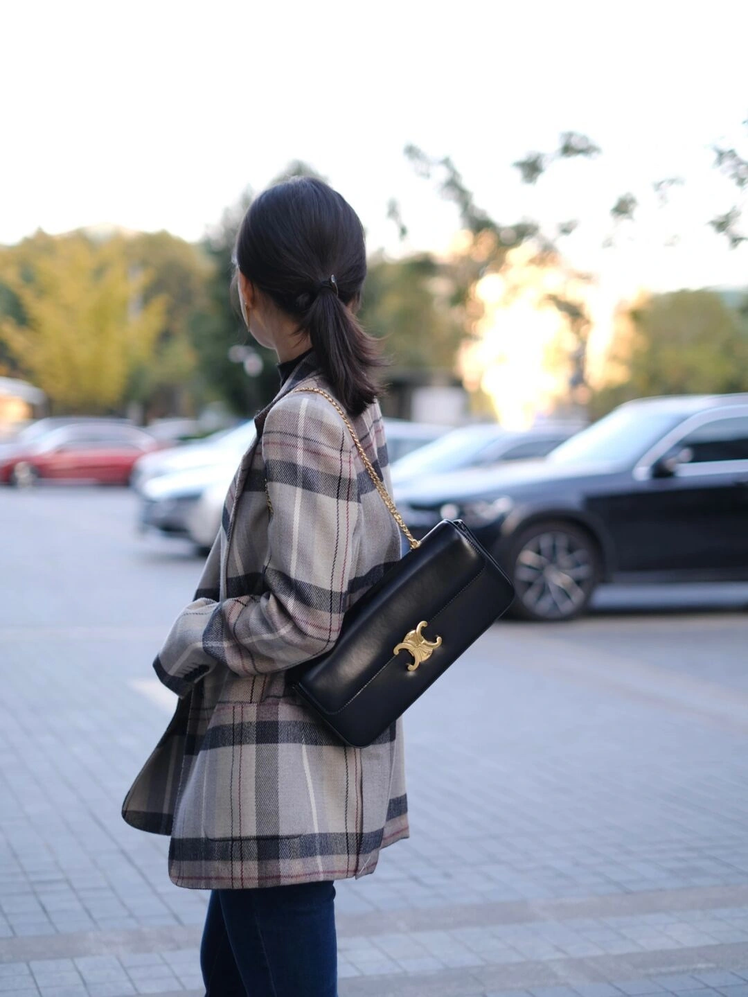 ZipUp Celine Triomphe Bags 94581