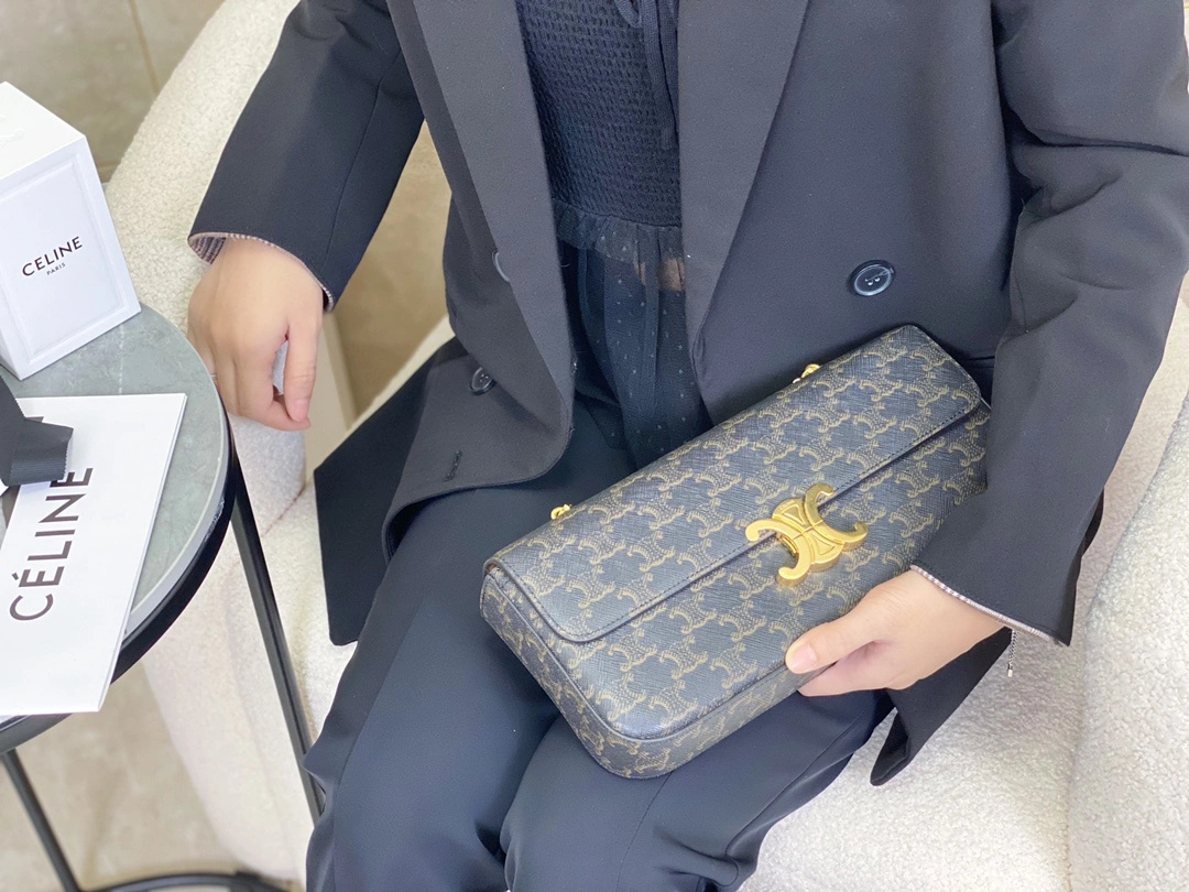 StreetReady Celine Triomphe Bags 94603