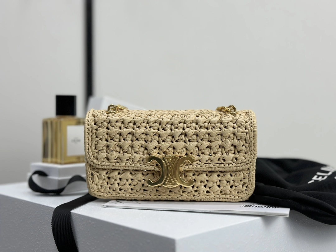 Celine Triomphe Bags Functional 94513