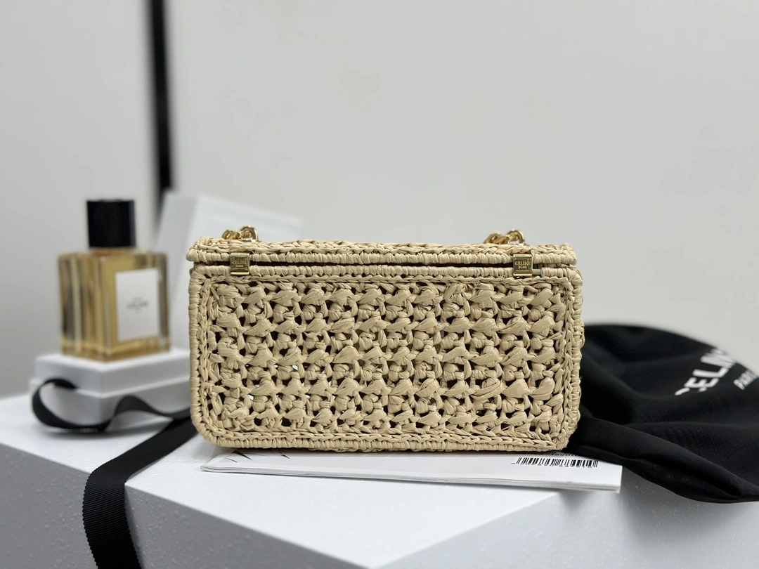 Celine Triomphe Bags Functional 94513
