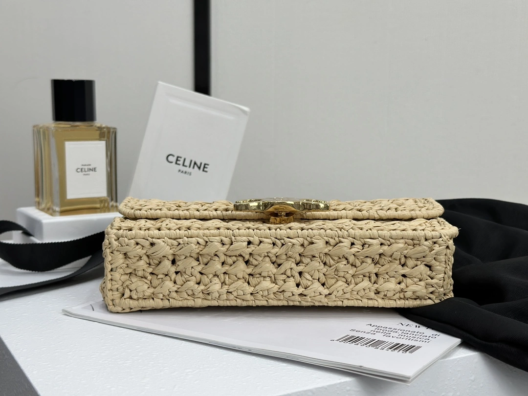 Celine Triomphe Bags Functional 94513