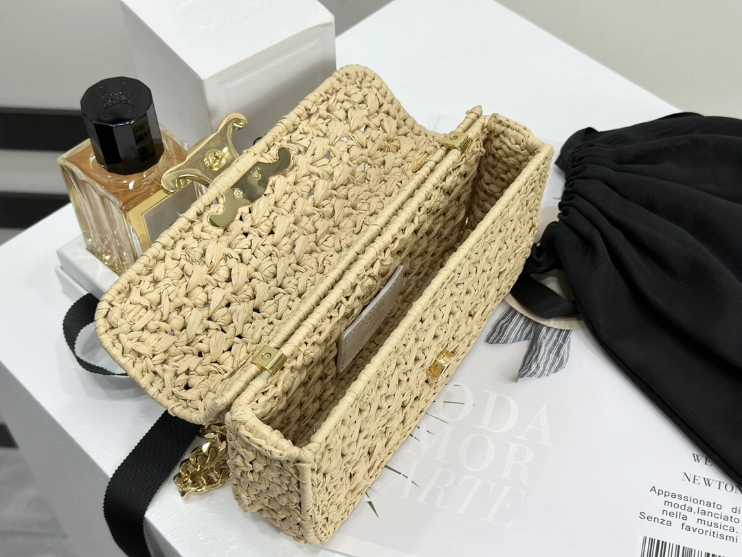 Celine Triomphe Bags Functional 94513