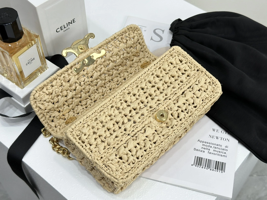 Celine Triomphe Bags Functional 94513